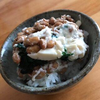 ほうれん草と濃厚豆腐納豆ごはん